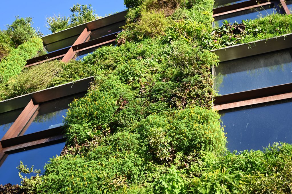 Smart Green Wall
