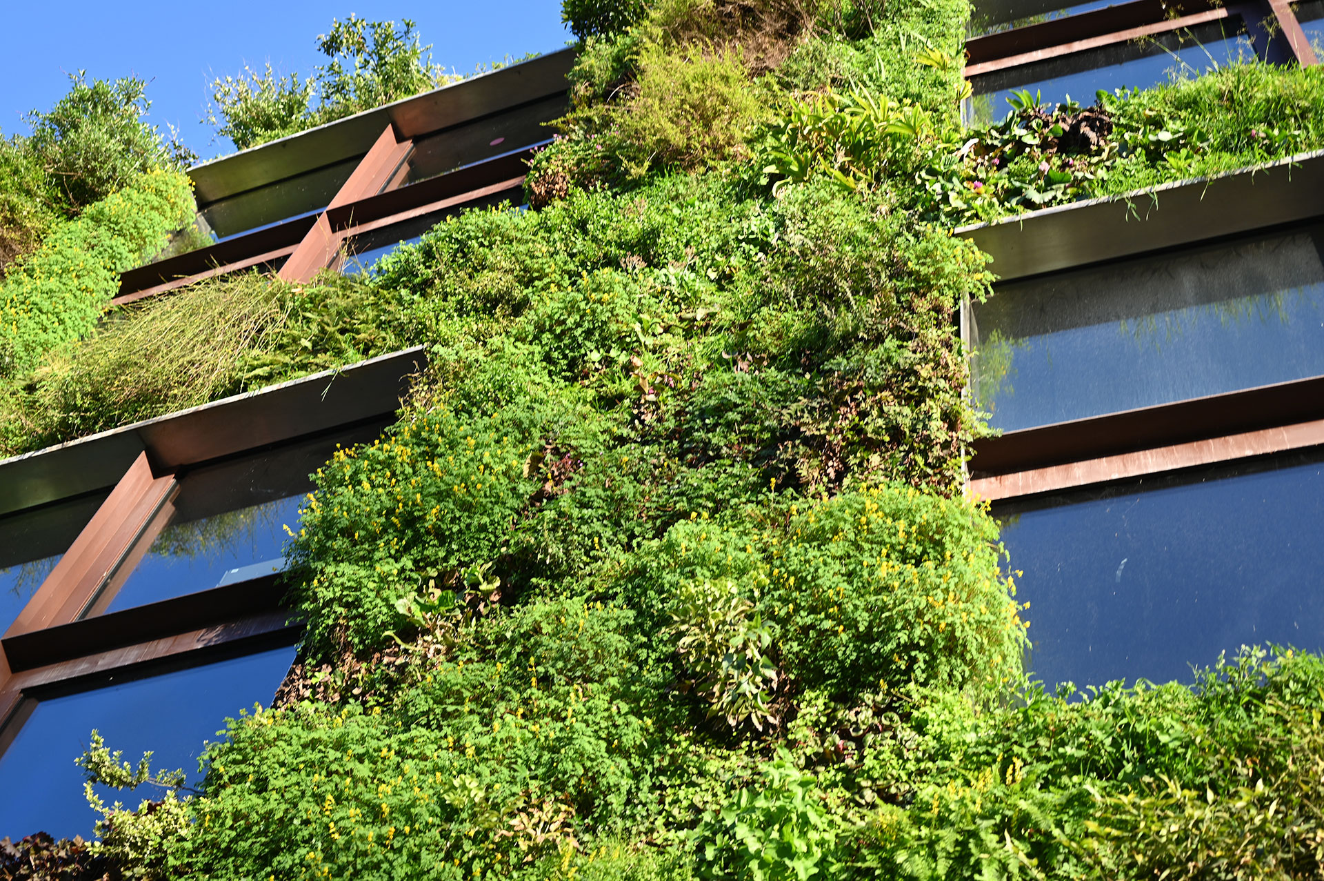Smart Green Wall