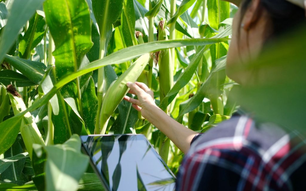 Internet of Agriculture RheWaTech